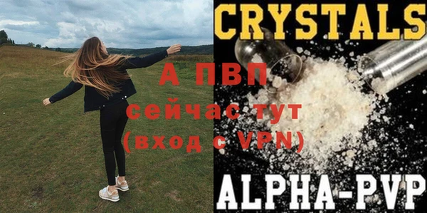гидра Алексин