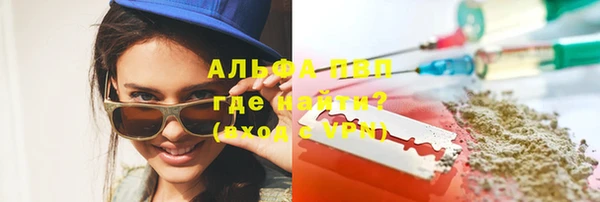 стафф Алзамай