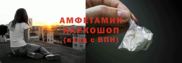 гидра Алексин