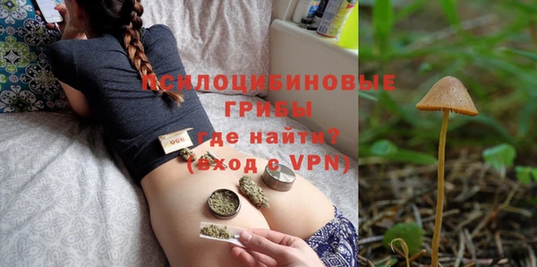 стафф Алзамай